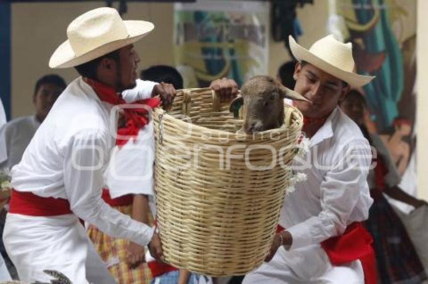 FESTIVAL MOLE DE CADERAS