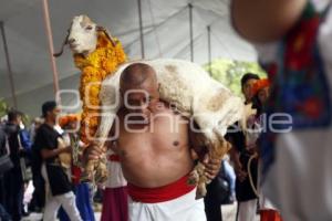 FESTIVAL MOLE DE CADERAS