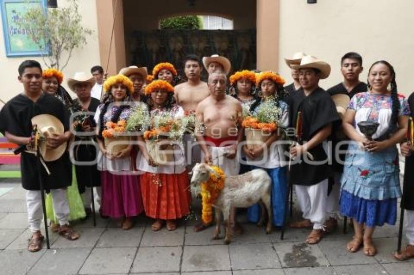 FESTIVAL MOLE DE CADERAS