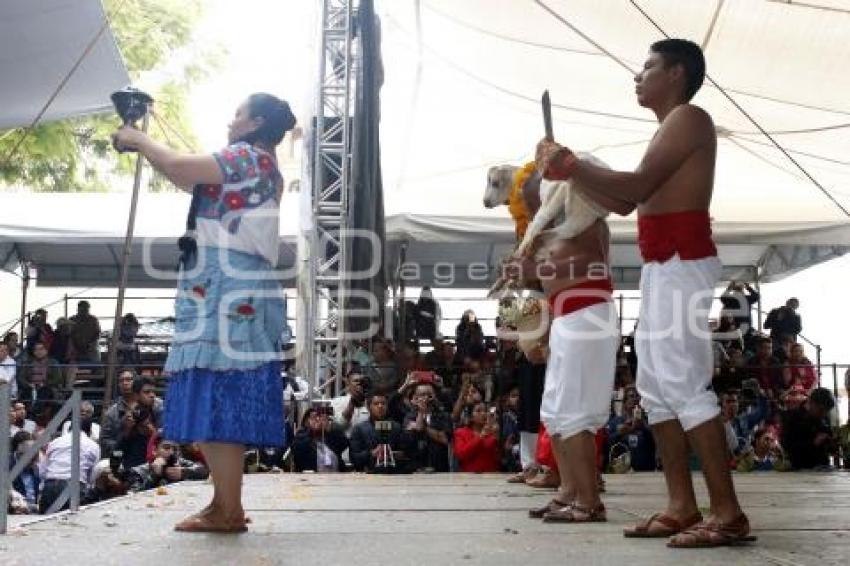 FESTIVAL MOLE DE CADERAS