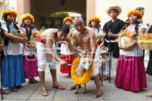 FESTIVAL MOLE DE CADERAS