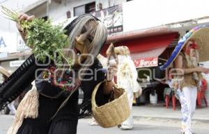 TECUANES  . ACATLÁN