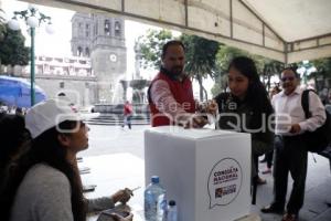 CONSULTA NAIM