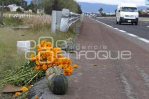 FLOR DE MUERTO . TEXMELUCAN