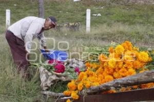 FLOR DE MUERTO . TEXMELUCAN