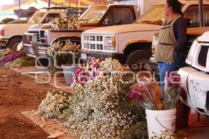 FLOR DE MUERTO . TEXMELUCAN