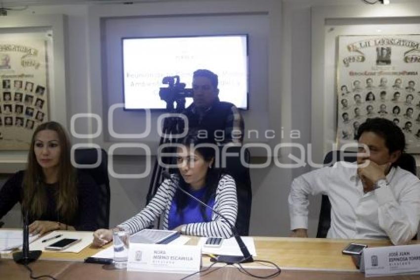 CONGRESO . COMISIÓN MEDIO AMBIENTE