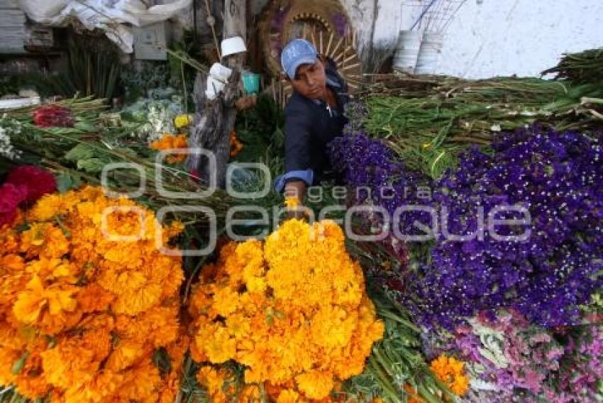 VENTA . FLOR DE MUERTO