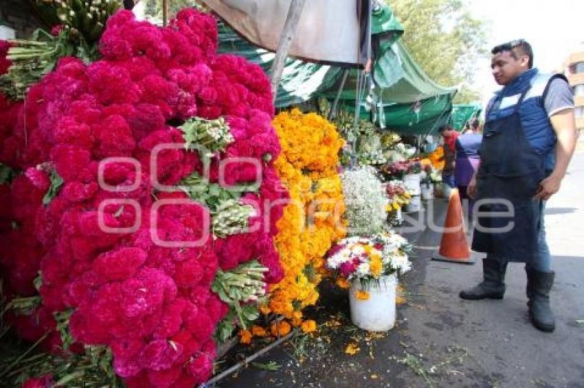 VENTA . FLOR DE MUERTO