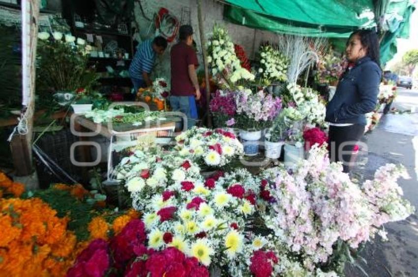 VENTA . FLOR DE MUERTO