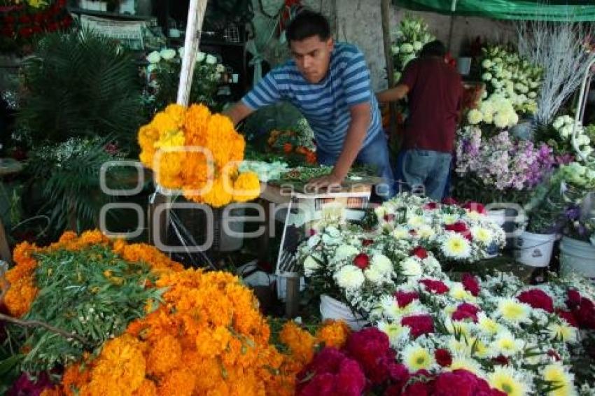 VENTA . FLOR DE MUERTO