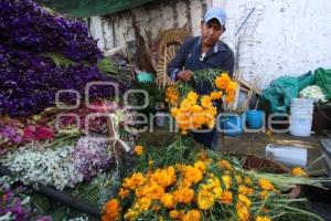 VENTA . FLOR DE MUERTO