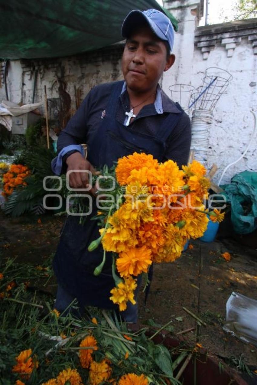 VENTA . FLOR DE MUERTO