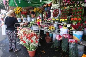 VENTA . FLOR DE MUERTO