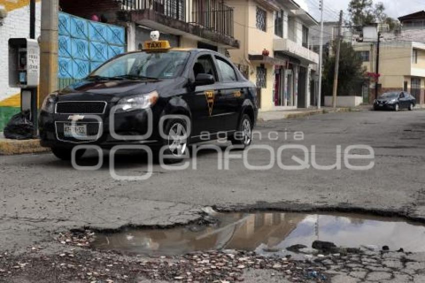 BACHES