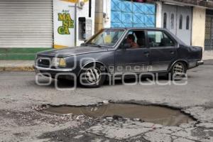 BACHES