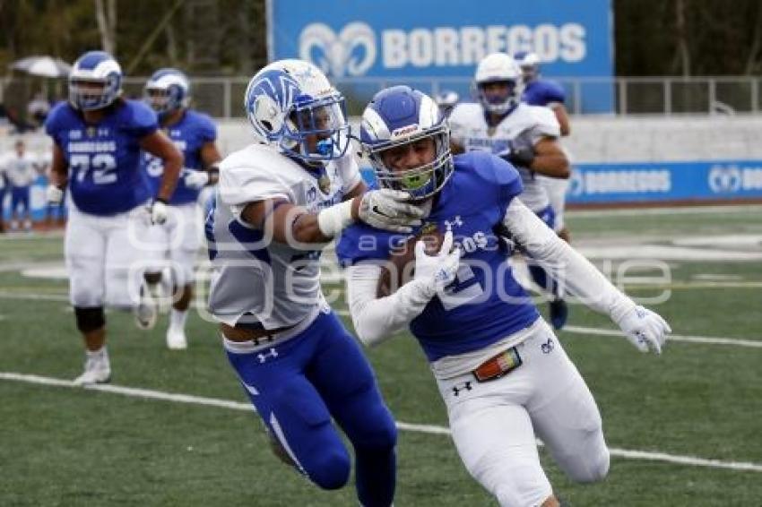 FUTBOL AMERICANO . ITESM PUEBLA VS ITESM GUADALAJARA