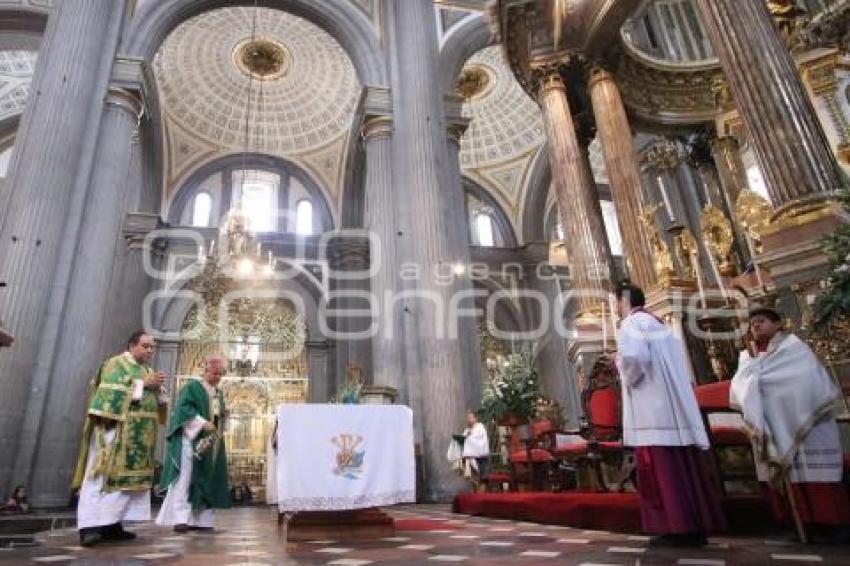 MISA DOMINICAL . CATEDRAL