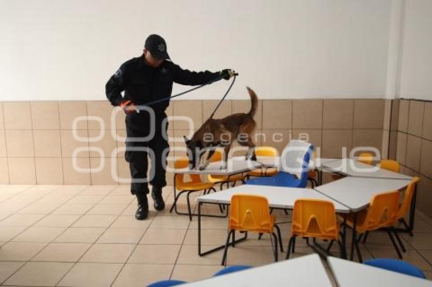 SIMULACRO GUARDERÍA IMSS