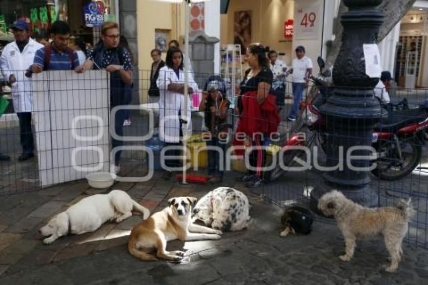 CORREDOR CULTURAL 5 DE MAYO