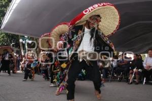 PUEBLA CULTURA PARA TODOS . TECUANES