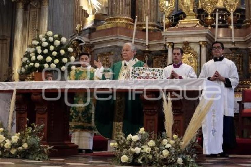 MISA DOMINICAL . CATEDRAL