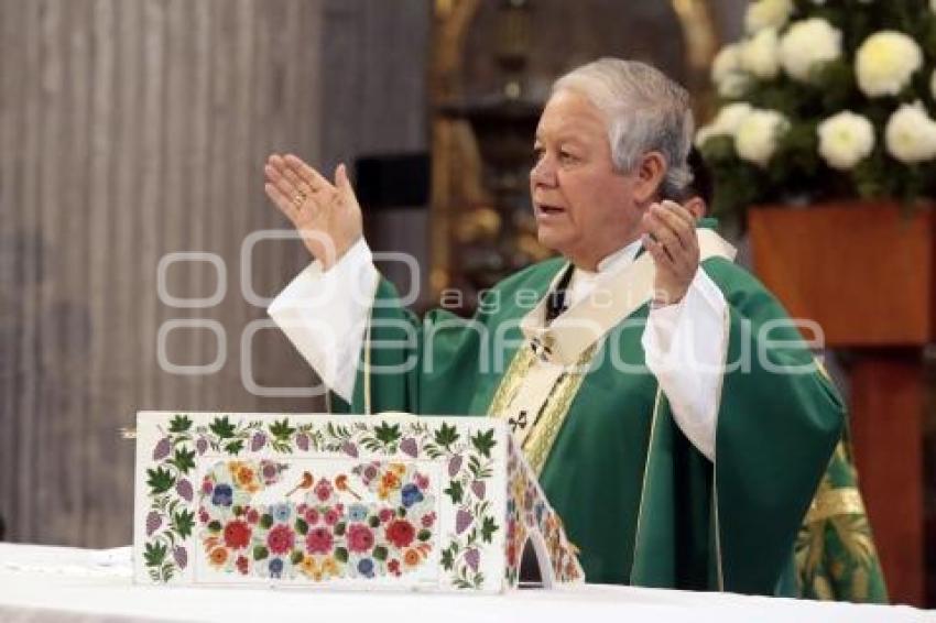 MISA DOMINICAL . CATEDRAL