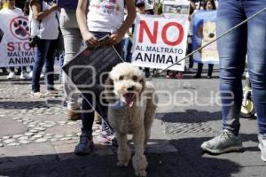 MARCHA POR LOS ANIMALES