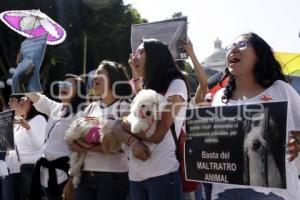 MARCHA POR LOS ANIMALES