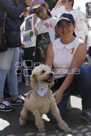 MARCHA POR LOS ANIMALES