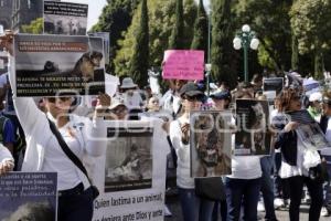 MARCHA POR LOS ANIMALES