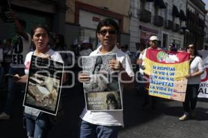 MARCHA POR LOS ANIMALES