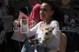 MARCHA POR LOS ANIMALES