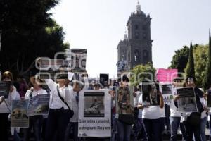 MARCHA POR LOS ANIMALES