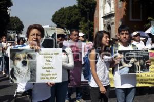 MARCHA POR LOS ANIMALES