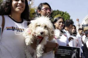 MARCHA POR LOS ANIMALES