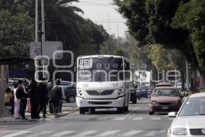 TRANSPORTE PÚBLICO BULEVAR 5 DE MAYO