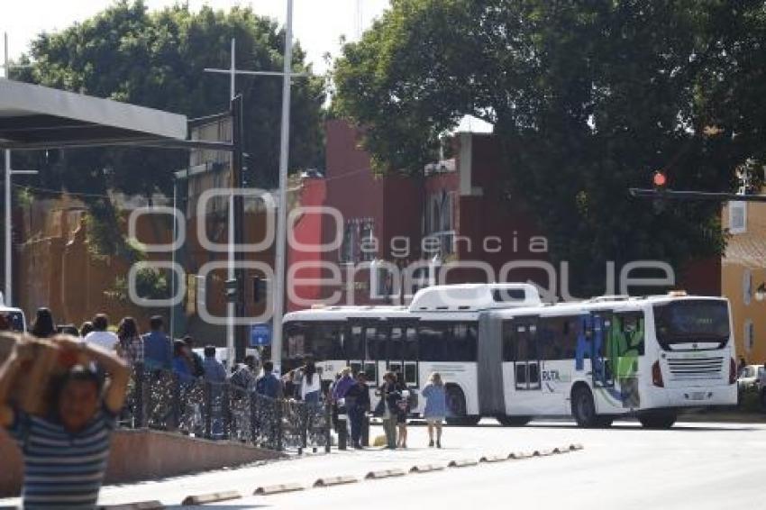 MANIFESTACIÓN TRANSPORTISTAS