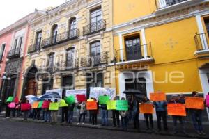 MANIFESTACIÓN . CONGRESO