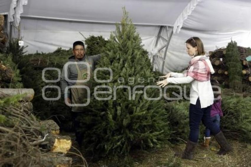 ÁRBOLES NAVIDEÑOS