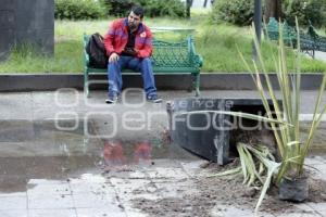 PASEO BRAVO . VANDALISMO