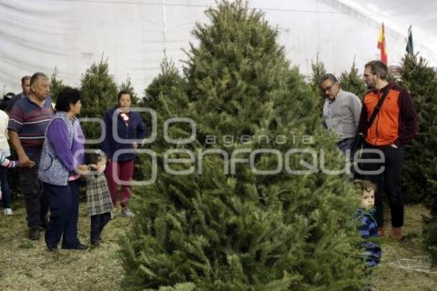 ÁRBOLES NAVIDEÑOS