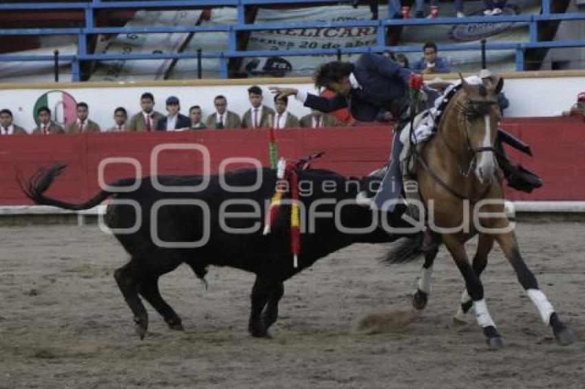 REJONEADOR DIEGO VENTURA