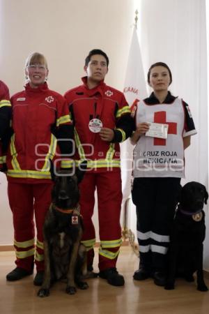 CRUZ ROJA . PERROS DE BÚSQUEDA Y RESCATE