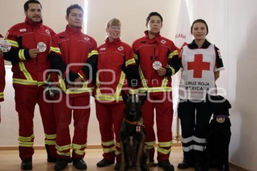 CRUZ ROJA . PERROS DE BÚSQUEDA Y RESCATE