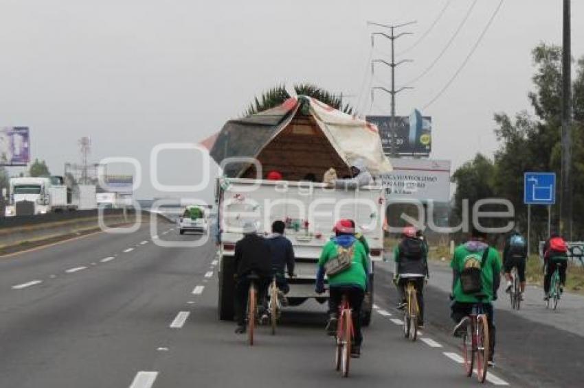 PEREGRINOS . AUTOPISTA