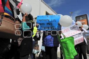 MANIFESTACIÓN FEMINICIDIO