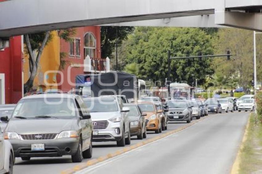 TRÁFICO VEHICULAR