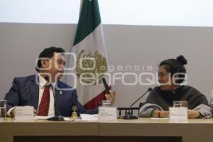 CONGRESO . COMISIÓN PERMANENTE
