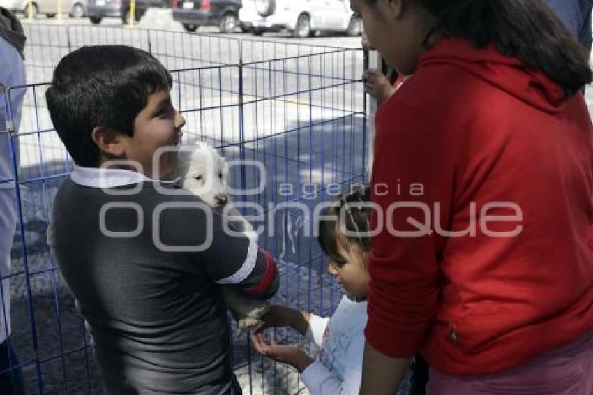 JORNADA DE ADOPCIÓN DE ANIMALES